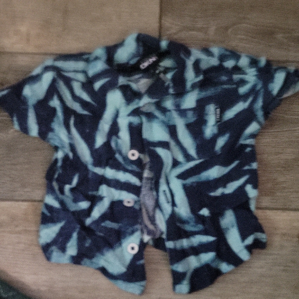 DKNY Kids Navy and Teal Button Down Shirt